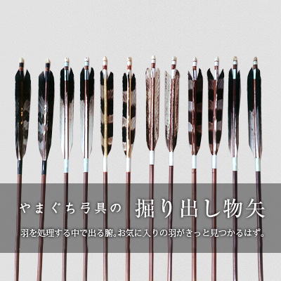 矢 6本 弓道 Xplast Com Py